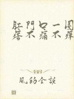 肛门口一圈肉疙瘩不痛不痒