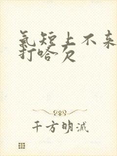 气短上不来气总打哈欠