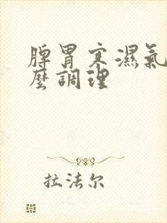 脾胃寒湿气重怎么调理