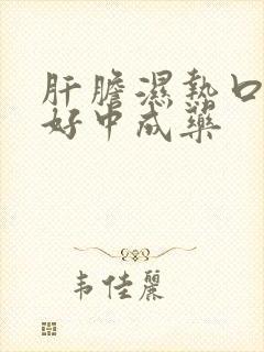 肝胆湿热口苦最好中成药