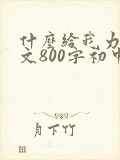 什么给我力量作文800字初中