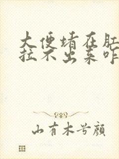 大便堵在肛门口拉不出来咋办