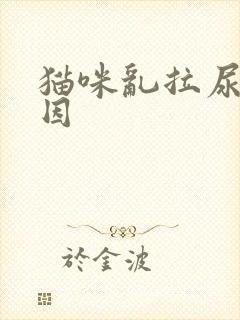 猫咪乱拉尿的原因