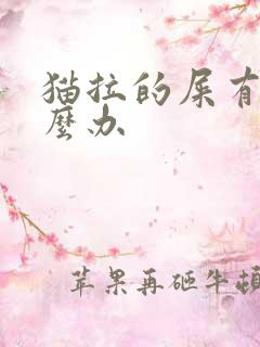 猫拉的屎有虫怎么办