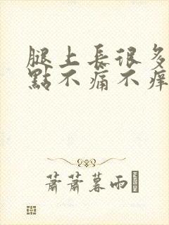 腿上长很多红点点不痛不痒