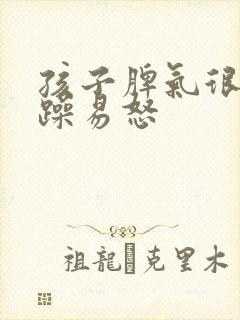 孩子脾气很大暴躁易怒