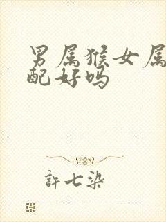 男属猴女属鼠婚配好吗