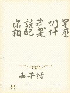 你说我们星座不相配是什么歌