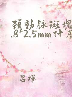 颈动脉斑块18.8*2.5mm什么意思