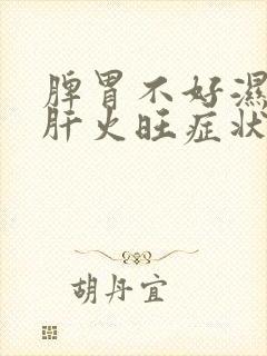 脾胃不好湿气重肝火旺症状