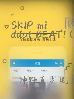 SKIP middot BEAT! (华丽的挑战)