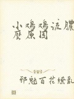 小鸡鸡流脓是什么原因