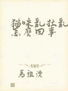 猫咪乱拉乱尿是怎么回事