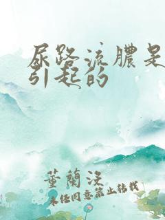 尿路流脓是什么引起的