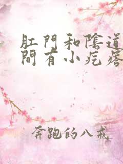 肛门和阴道口中间有小疙瘩