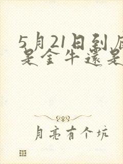 5月21日到底是金牛还是双子