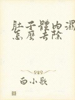 肚子体内湿气重怎么去除