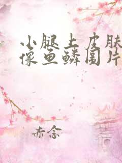 小腿上皮肤干燥像鱼鳞图片