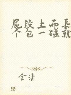 屁股上面长了一个包一碰就痛