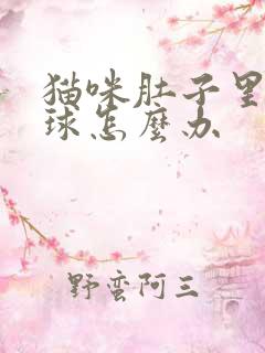 猫咪肚子里有毛球怎么办