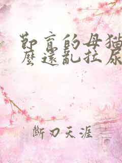 节育的母猫为什么还乱拉尿