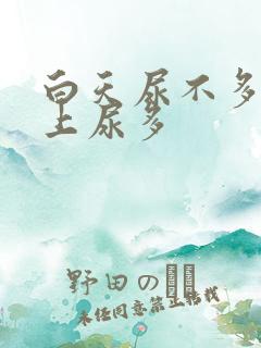 白天尿不多,晚上尿多