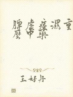 脾虚痰湿重吃什么中药