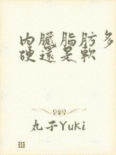 内脏脂肪多肚子硬还是软