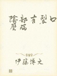 阴部有裂口是什么病