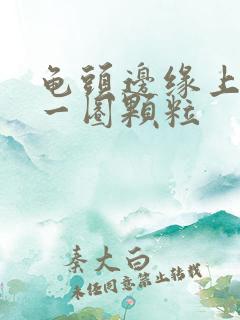 龟头边缘上长了一圈颗粒