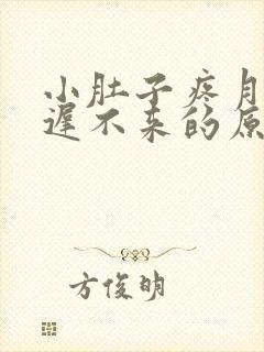 小肚子疼月经迟迟不来的原因