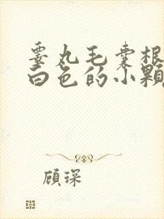 睾丸毛囊根部有白色的小颗粒