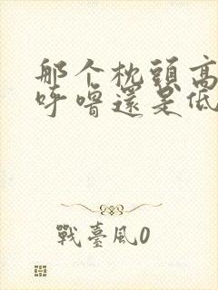 那个枕头高点打呼噜还是低打呼噜