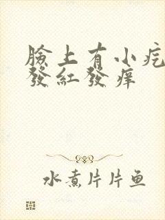 脸上有小疙瘩脸发红发痒