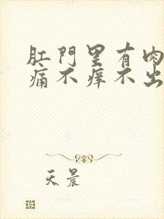 肛门里有肉球不痛不痒不出血