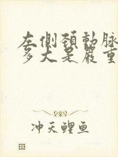 左侧颈动脉斑块多大是严重,如何治疗