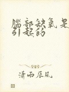 脑部缺氧是怎么引起的