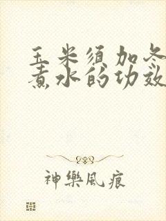 玉米须加冬瓜皮煮水的功效