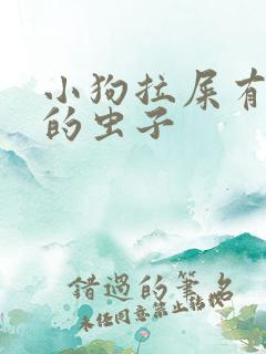 小狗拉屎有细长的虫子