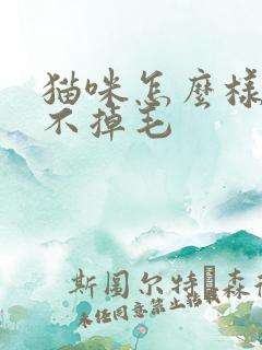 猫咪怎么样才能不掉毛