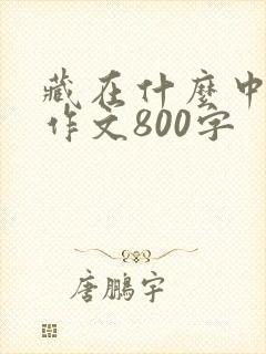 藏在什么中的美作文800字