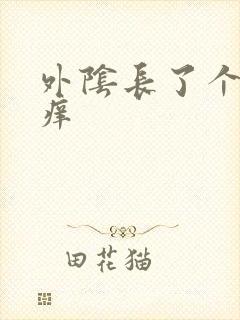 外阴长了个硬包痒