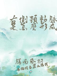 右侧颈动脉斑块是怎么形成的需要治疗吗?