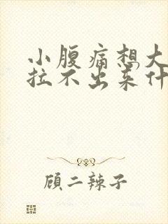 小腹痛想大便又拉不出来什么原因