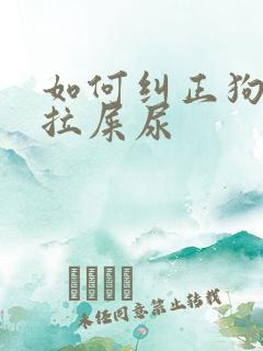 如何纠正狗狗乱拉屎尿