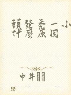 头发秃一小块是什么原因