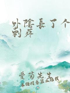 外阴长了个小肉刺疼