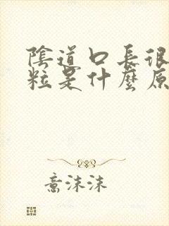 阴道口长很多颗粒是什么原因