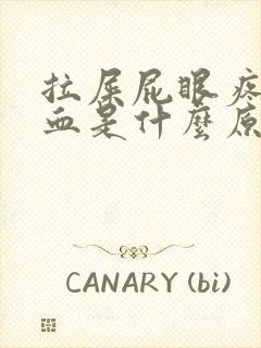 拉屎屁眼疼还出血是什么原因