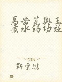 马齿苋与玉米须煮水的功效